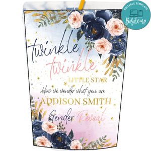 Twinkle Twinkle Little Star gender reveal Capri Sun Labels Digital File Printable Instant Download