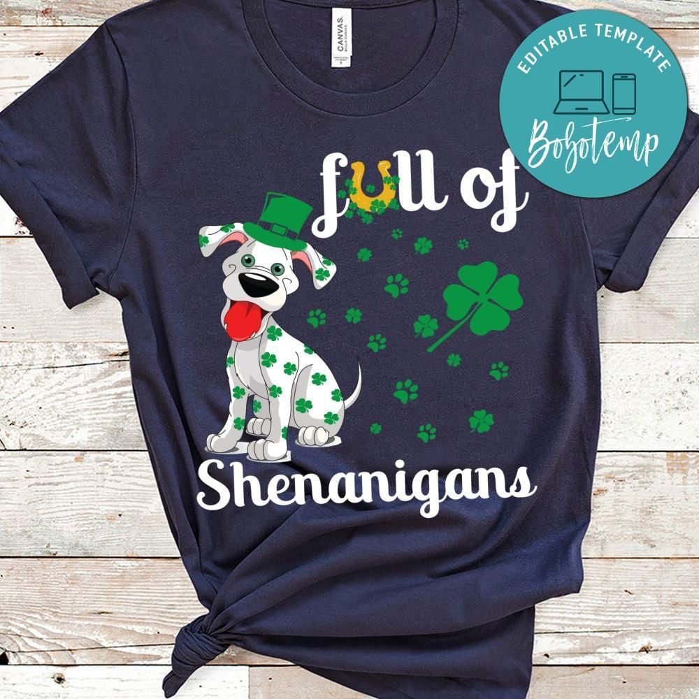 Full Of Shenanigans Shirt