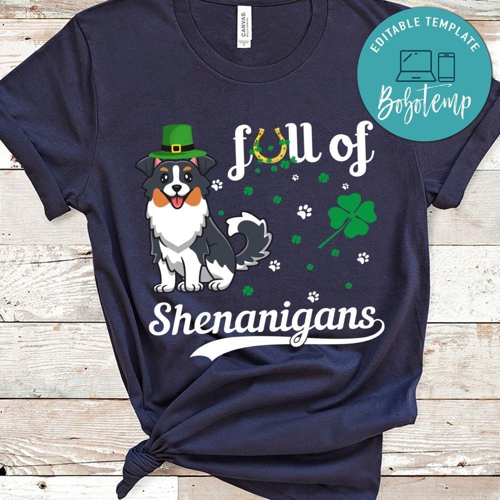 Full Of Shenanigans T-Shirt