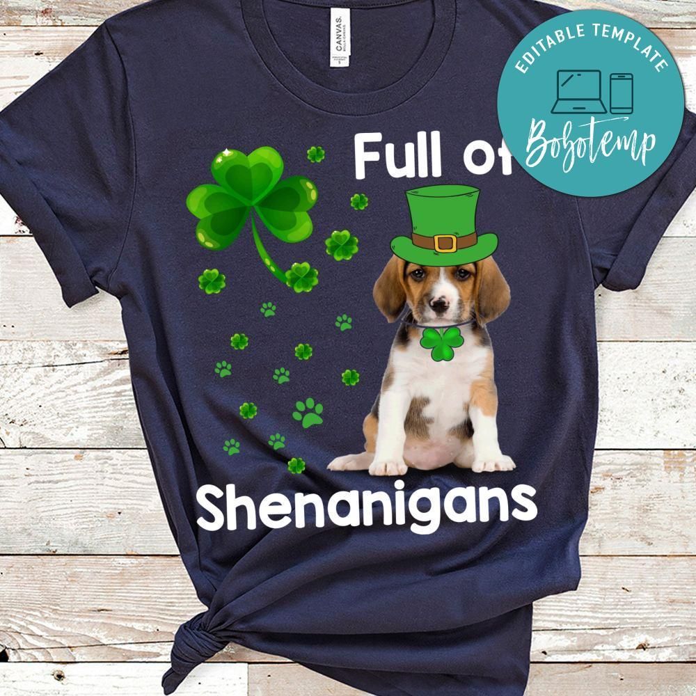 Full Of Shenanigans T Shirts