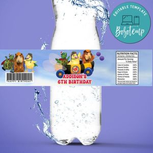 Wonder Pets Birthday Water Bottle Label Template to Print at Home Instant Download