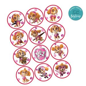 Paw Patrol Skye Cupcake Toppers Template Printable Instant Download