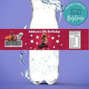 Pil's Adventures Birthday Water Bottle Label Template To Print At Home Instant Download