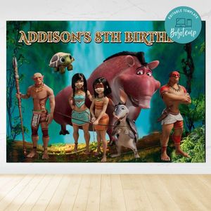 Ainbo Birthday Backdrop Digital File Template Instant Download