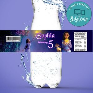 Wish Disney Bottle Label Birthday Water Bottle Label Template to Print at Home Instant Download