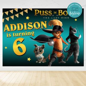 Puss in Boots Birthday Backdrop Digital File Template Instant Download
