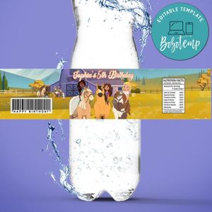 Spirit and friends Bottle Label Birthday Water Bottle Label Template to Print at Home Instant Download