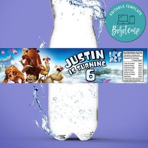 Ice Age Birthday Water Bottle Label Template to Print at Home Instant Download