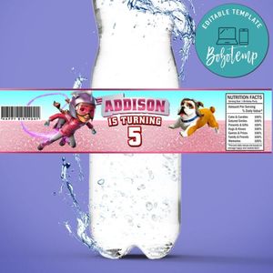Rocketeer Birthday Water Bottle Label Template to Print at Home Instant Download