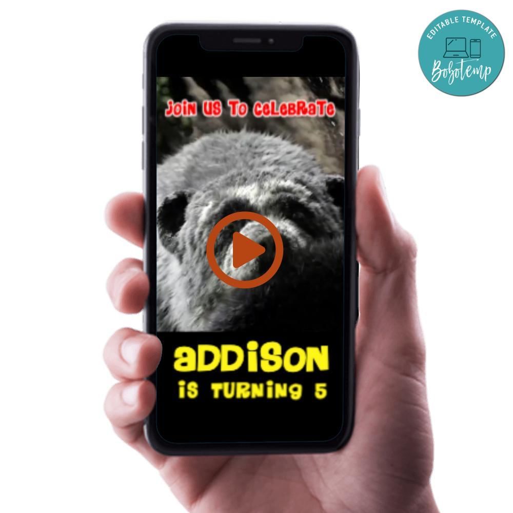 Milagros An Extraordinary Birthday Video Invitation Digital Template Customizable Instant Download