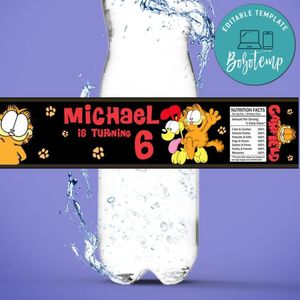 Garfield Birthday Water Bottle Label Template to Print at Home Instant Download
