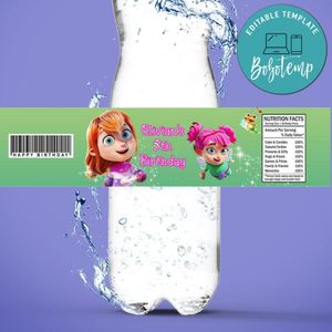 My Fairy Troublemaker Birthday Water Bottle Label Template To Print At Home Instant Download