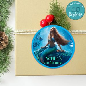 The Little Mermaid Circle Sticker Template Customizable to Print at Home Instant Download