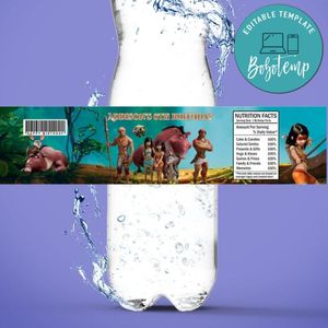 Ainbo Bottle Label Birthday Water Bottle Label Template to Print at Home Instant Download