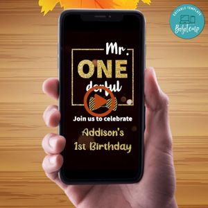 Mr onederful Birthday Video Invitation Digital Template Customizable Instant Download