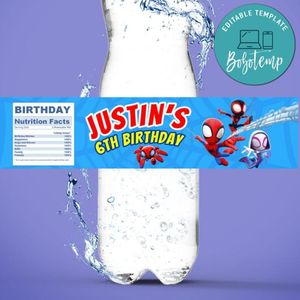 Spidey and his amazing friends Birthday Water Bottle Label Template to Print at Home Instant Download