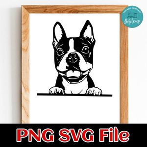Boston Terrier PNG SVG file template