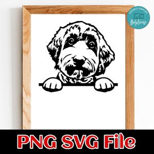 Labradoodle PNG SVG file template