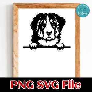 Bernese Mountain PNG SVG file template